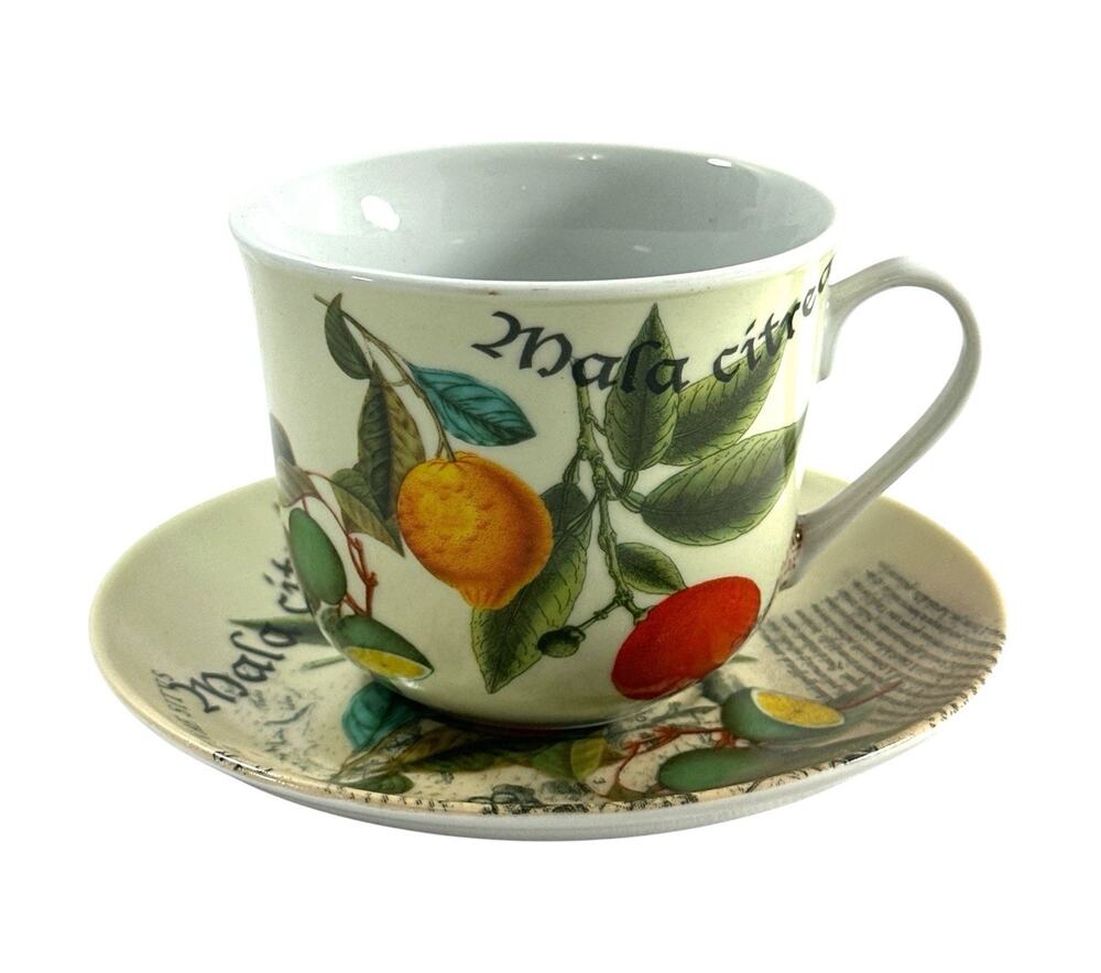 Kent Pottery Cup & Saucer Set Citrus Botanical Fruit Collage 6.25”